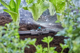 Pièce en T Gardena Micro-Drip-System pour buses de pulvérisation : Connexion entre des tuyaux de 13 mm et une buse de pulvérisation, arrosage automatique des plantes, technologie de connexion simple et rapide, réutilisable (13206-20)