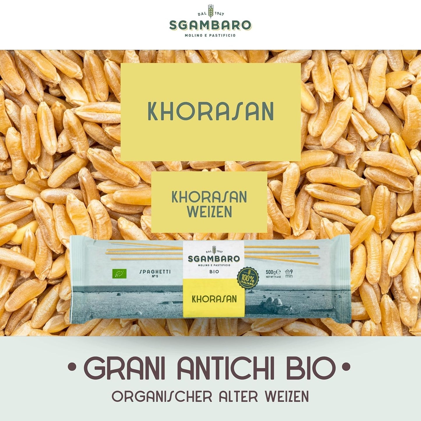 Pâtes spaghetti bio no. 5 - 500g de blé Khorasan – Blé ancien, riche en protéines, cultivé 100% italien – Polyvalent en cuisine et riche en nutriments