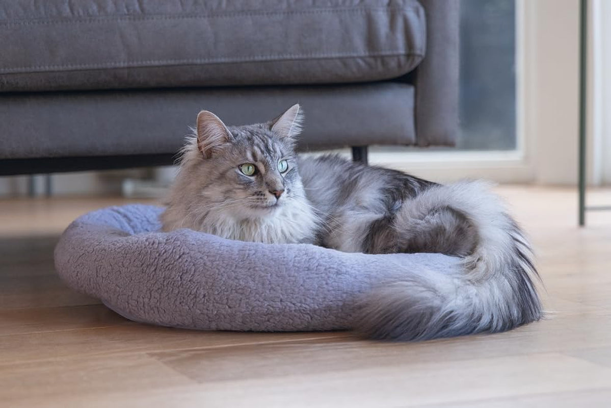 Lits, couvertures et meubles, animaux, chats, lits pour chats, Chats - lits, matelas