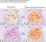 6 boîtes de breloques d'art de fleur 3D, strass de fleur en acrylique avec ornements en or et perles d'argent, bijoux en perles d'argent, accessoires de décoration pour les femmes, les femmes, conception de bijoux DIY, décoration de base…