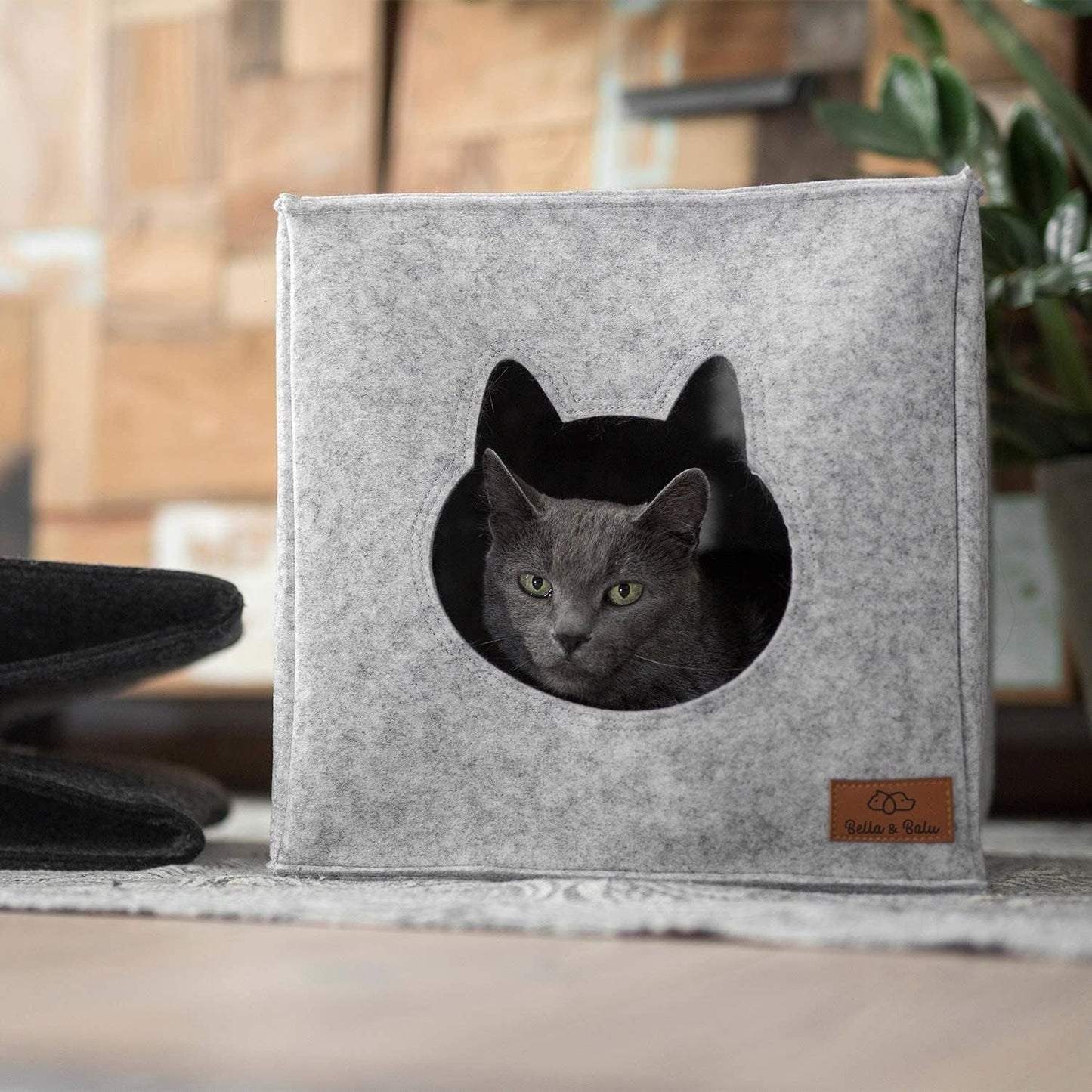 Couvertures et meubles, Animaux, Grottes et maisons, Chats, Lits pour chats, Chats - lits, matelas