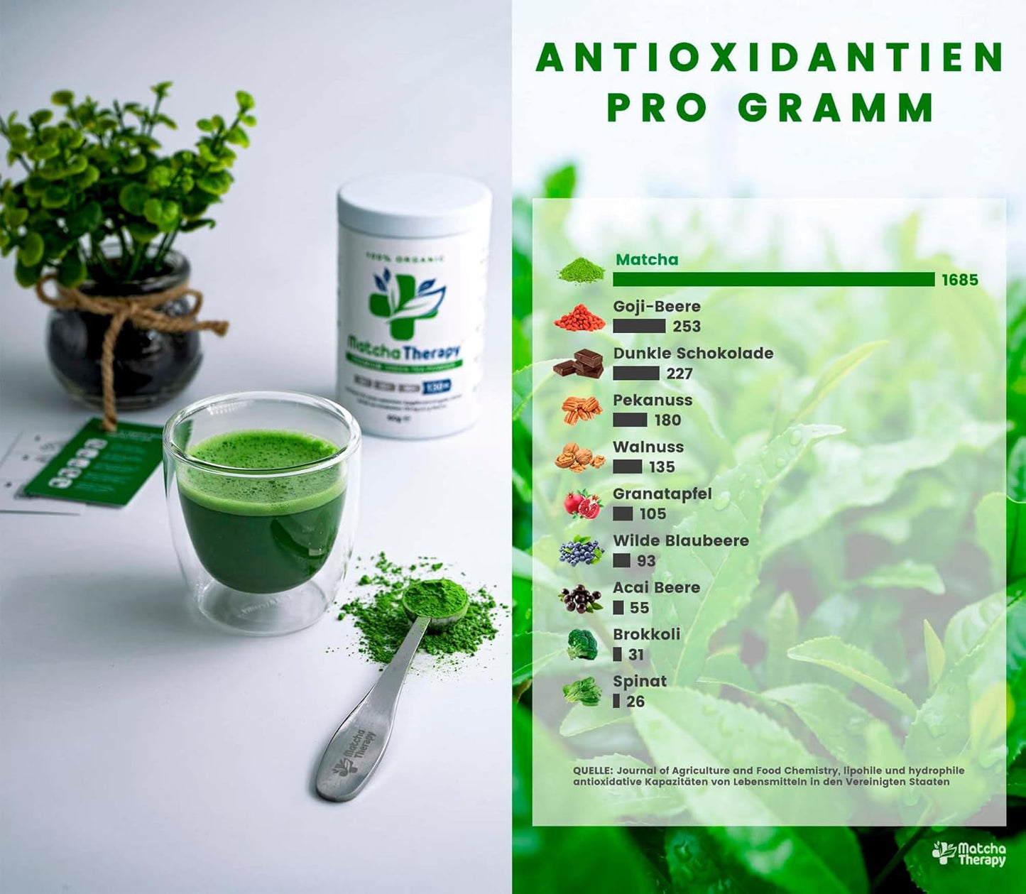 Thérapie Matcha 30+ | Poudre de thé Matcha biologique | 60g | Avec une teneur vérifiée d'au moins 30 mg/g de catéchine EGCG | Soutient le système immunitaire et les niveaux d'énergie | Qualité cérémoniale | Thé vert du Japon