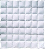 Billerbeck Couette en duvet - E04 Gold Edition - Couette toutes saisons - 135 x 200 cm Couette en duvet véritable - Chaleur moyenne Naty Shop Couettes et couettes Medium (M) 200 x 200 cm