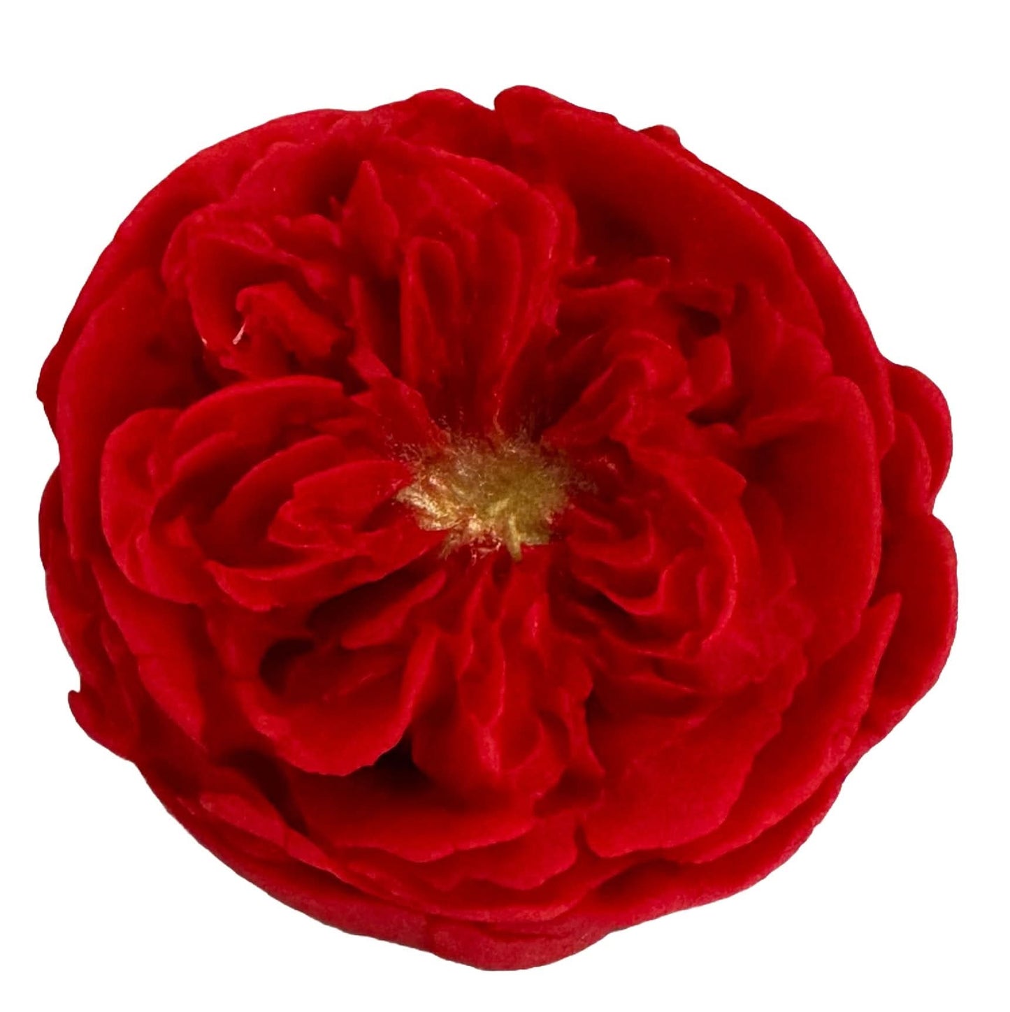 Décoration comestible en sucre, Décorations Roses Thé de Pâte à Sucre Nati Shop