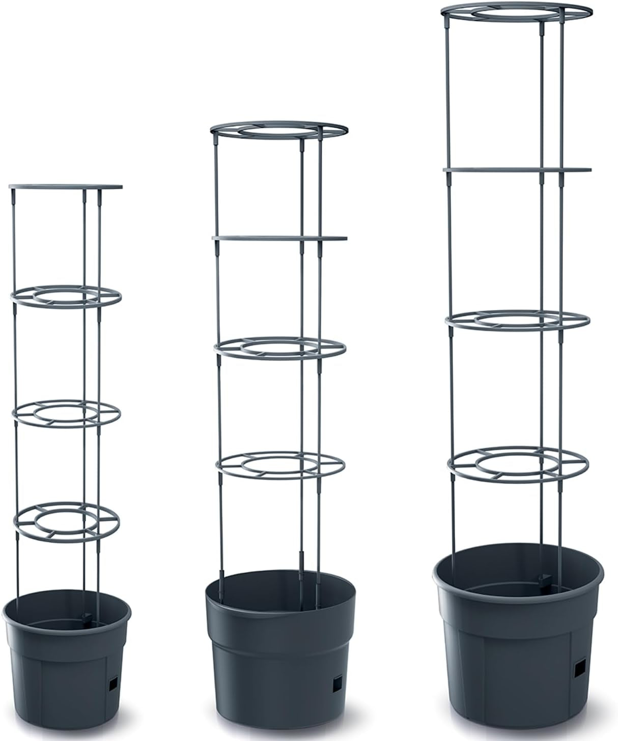 Pots de semis de tomates Prosperplast avec treillis – Jardinière en plastique robuste | anthracite | Résistant aux intempéries et aux UV | 29,5 x 115,2 cm | Idéal pour le jardin et la terrasse