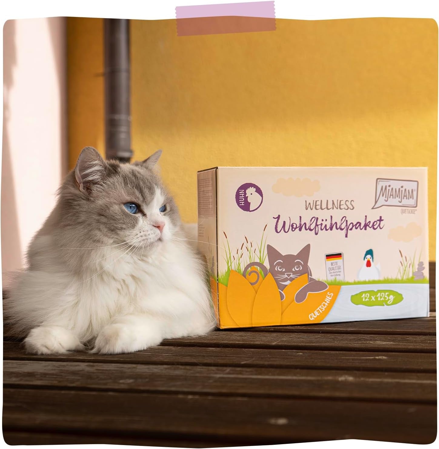 MjAMjAM - Nourriture humide de qualité supérieure pour chats - Pack bien-être au poulet 12 paquets (12 x 125 g) sans céréales avec viande supplémentaire