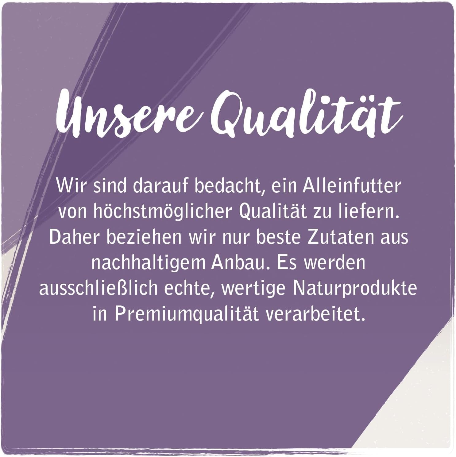 Venandi Animal - Nourriture humide de qualité supérieure pour chat - Cheval sous forme de monoprotéine, paquet de 12 (12 x 125 g), sans céréales, monoprotéine