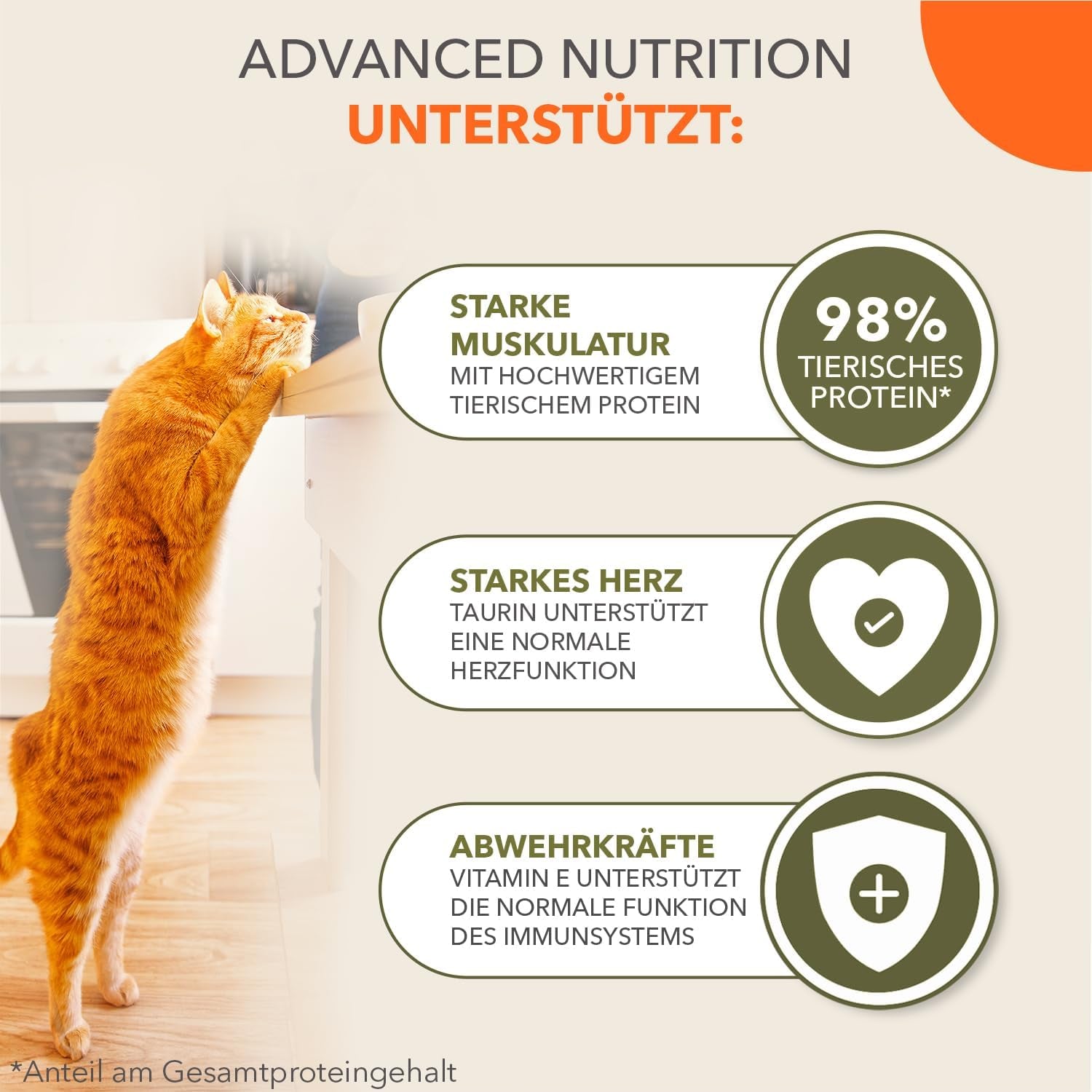 IAMS Delights Sea Collection Nourriture humide pour chats sans céréales - Multipack avec une variété de poissons en sauce, nourriture humide sans céréales pour chats à partir de 1 an, 12 x 85 g