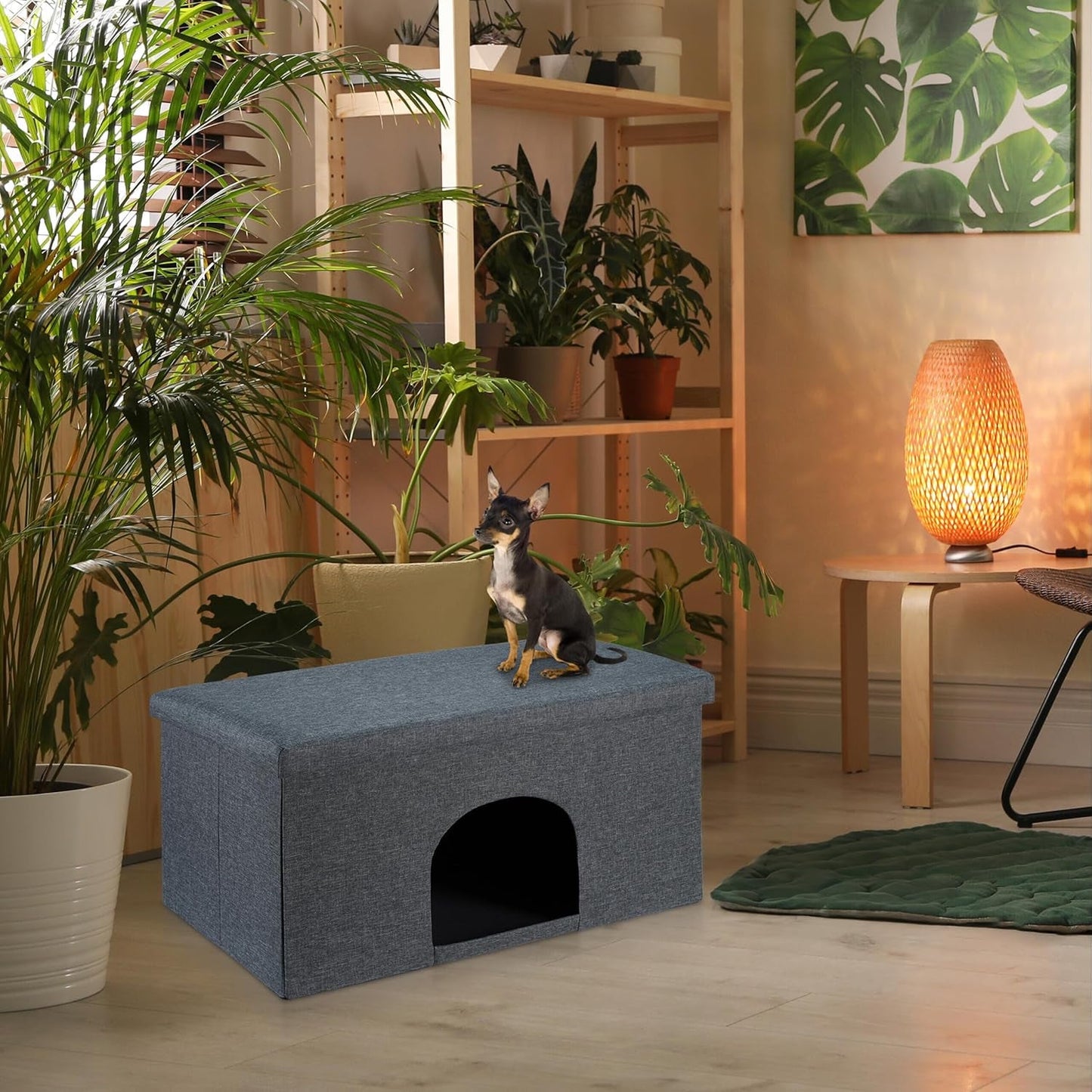 Couvertures et meubles, Animaux, Grottes et maisons, Chats, Lits pour chats, Chats - lits, matelas