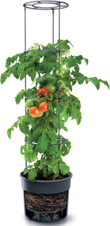 Pots de semis de tomates Prosperplast avec treillis – Jardinière en plastique robuste | anthracite | Résistant aux intempéries et aux UV | 29,5 x 115,2 cm | Idéal pour le jardin et la terrasse
