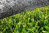 Poudre Matcha BIO 100 g I Sans additifs - 100% naturel I Thé Matcha japonais premium I Thé vert en poudre de