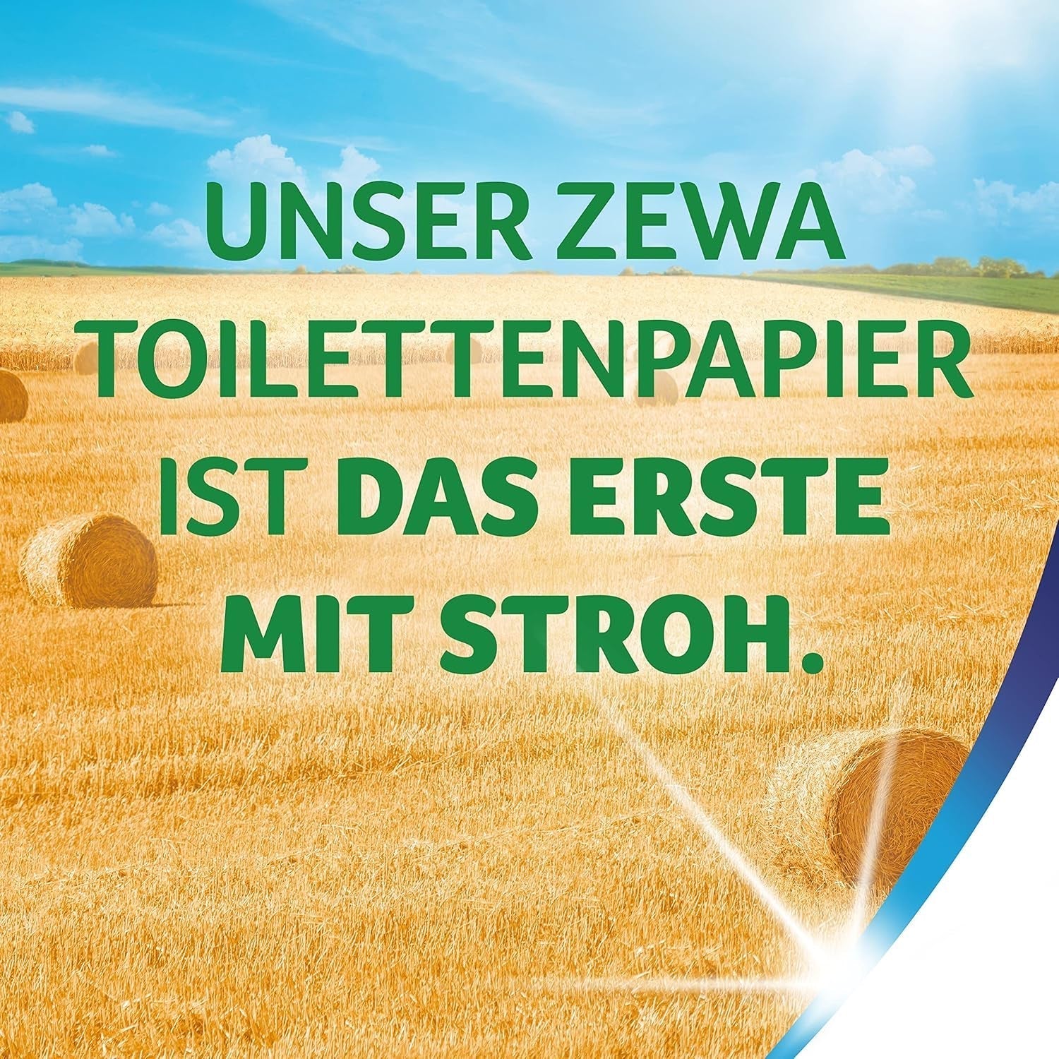 Zewa Proven - 48 rouleaux - Le premier papier toilette contenant de la paille - 3 couches