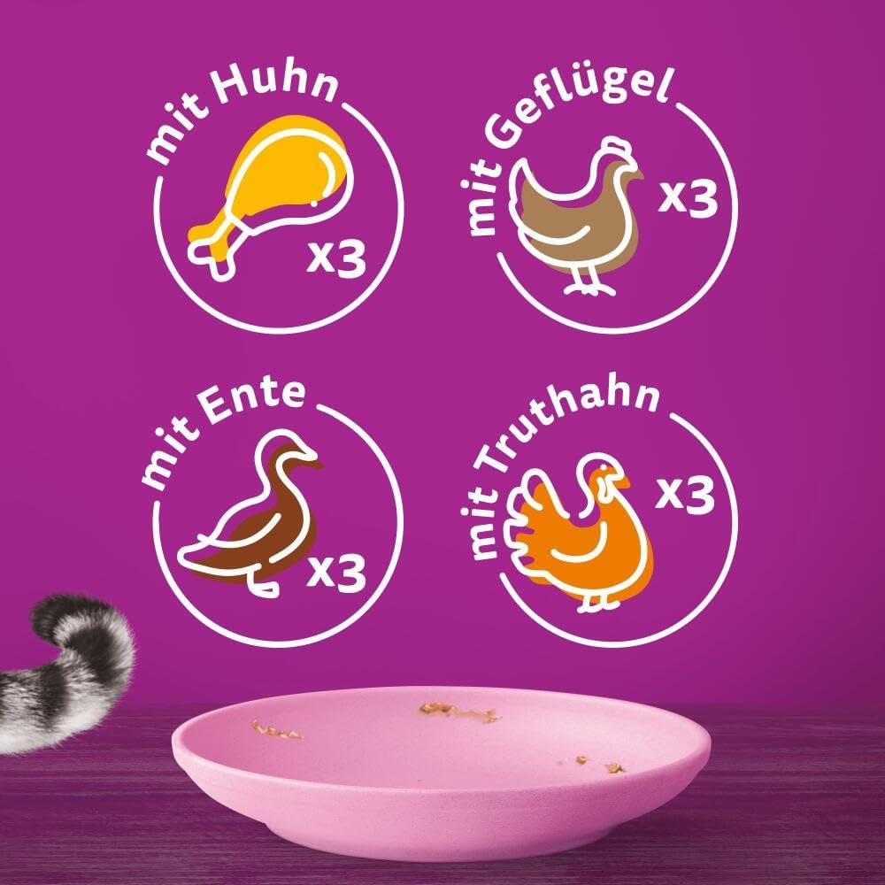 WHISKAS Junior Sachets de nourriture humide, multipack, sélection de viande de volaille en gelée, 12 x 85 g