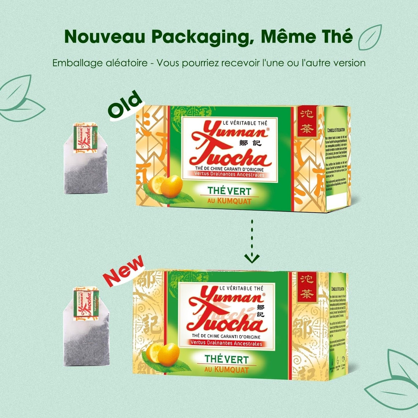 Yunnan Tuocha Zouji - Thé vert bio au kumquat - Vitamine C - 100 sachets de thé - 200 g - Qualité Yunnan garantie