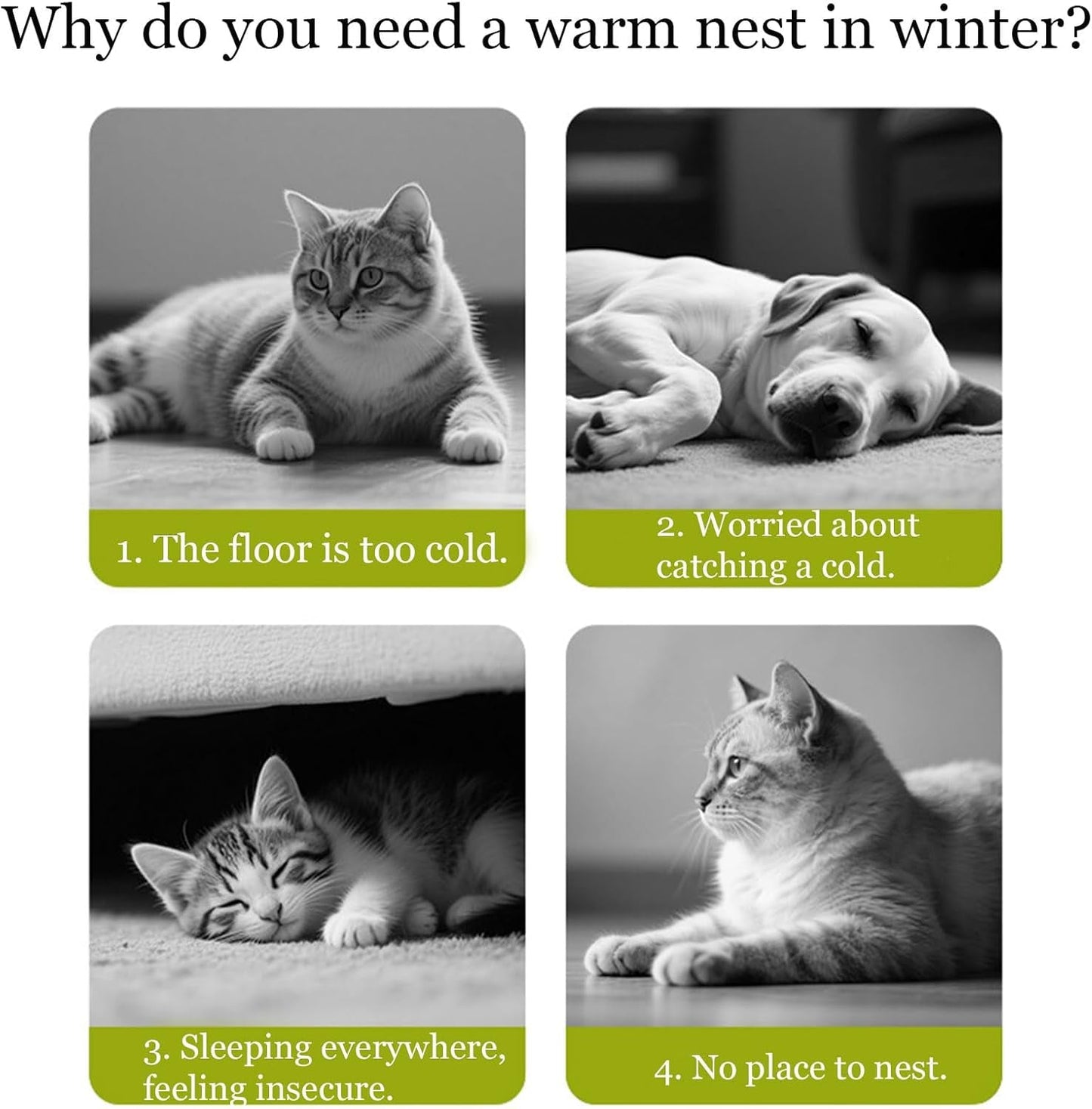 Couvertures et meubles, Animaux, Grottes et maisons, Chats, Lits pour chats, Chats - lits, matelas