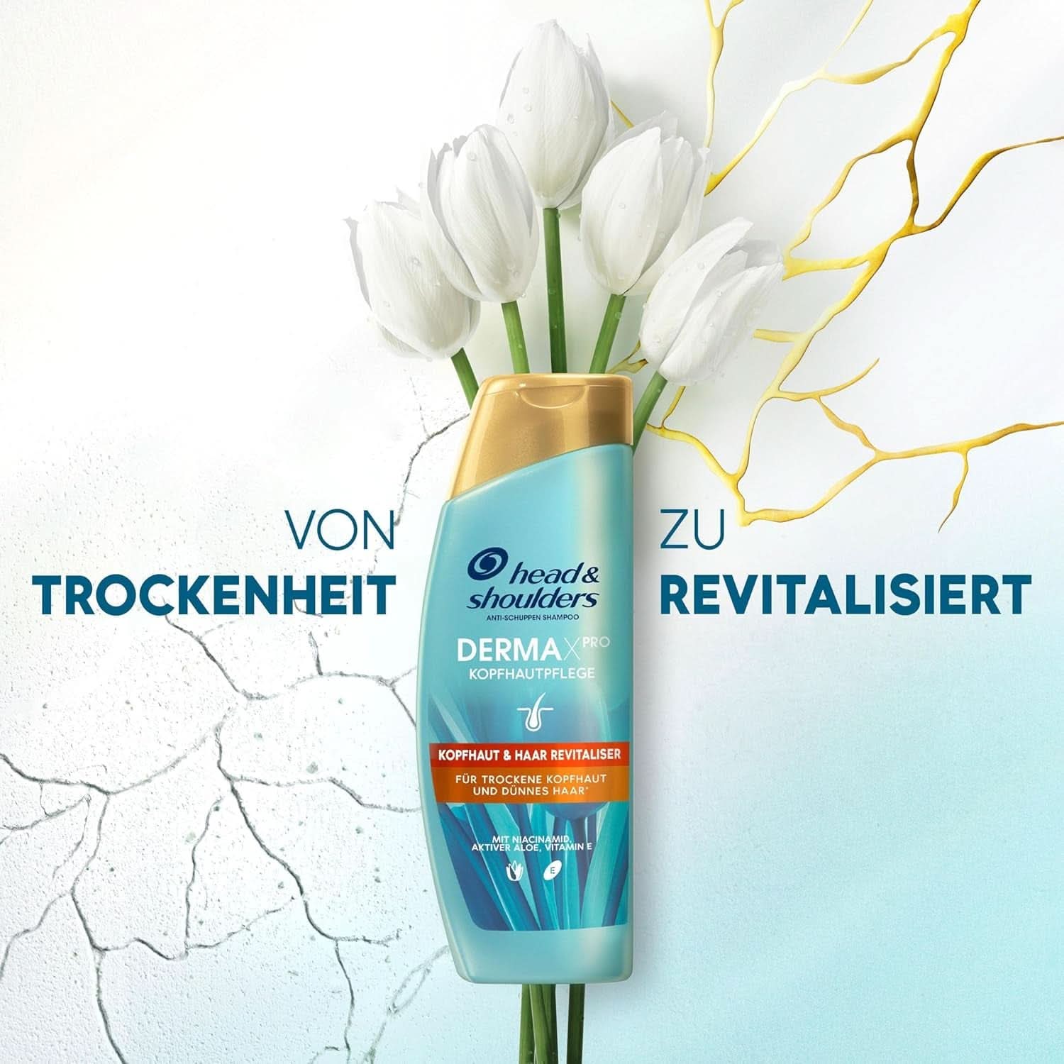 Derma X Shampoing Revitalisant Tête & Epaules, 250 ml Douche et bain Naty Shop