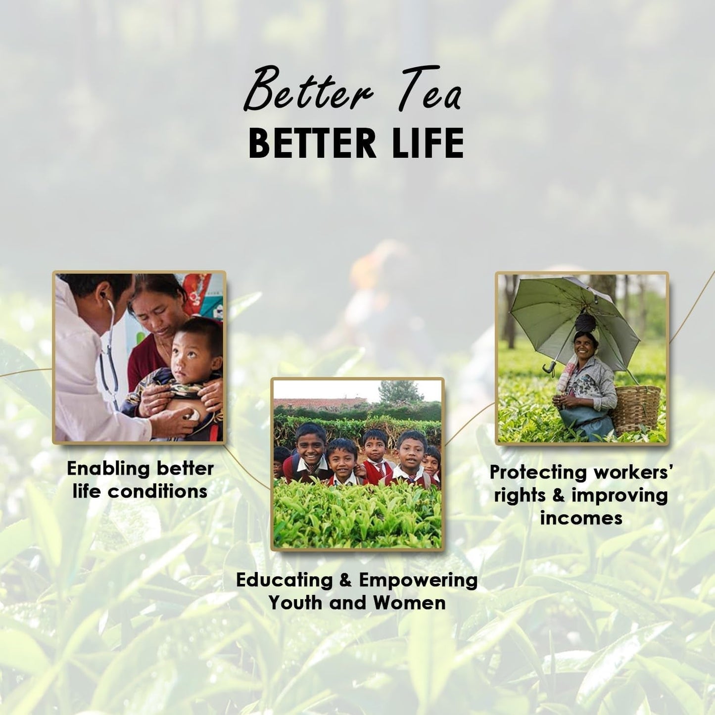 Thé Noir Twinings English Breakfast 50 g, 25 sachets de thé, thé noir ample, rond et fort issu des meilleures plantations de thé du Sri Lanka et d'Inde. Thé noir Paquet de 1 (1 x 50 g)