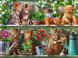Ravensburger Puzzle 12000205 - Katzen Im Regal - Puzzle de 500 pièces pour adultes et enfants de plus de 10 ans, puzzle animal chat Puzzle Naty Shop New Design