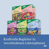 Salus - Thé Krafttier - Le Chat Silencieux - 1X 15 Sachets Filtres (28,5g) - Tisane Menthe avec Ashwagandha - Bio