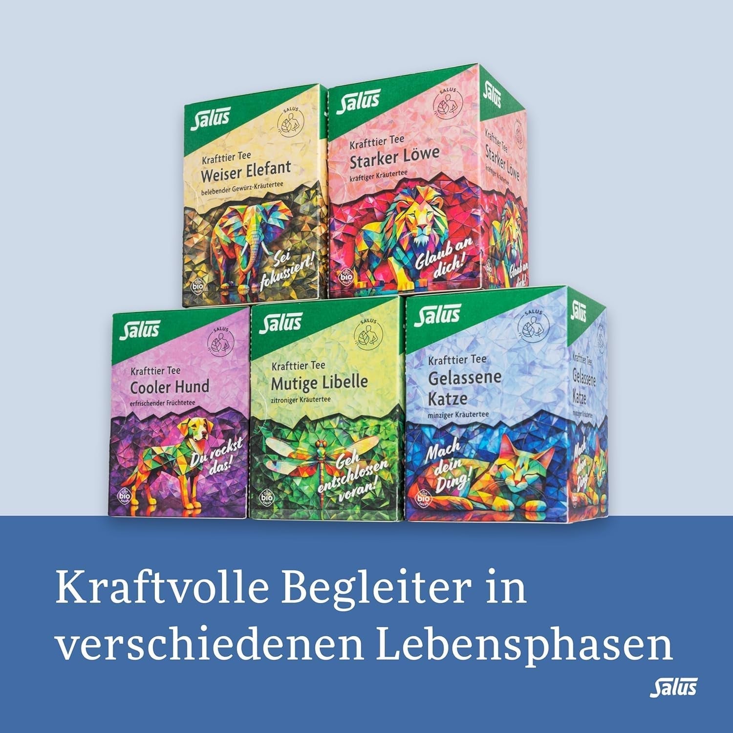 Salus - Thé Krafttier - Le Chat Silencieux - 1X 15 Sachets Filtres (28,5g) - Tisane Menthe avec Ashwagandha - Bio