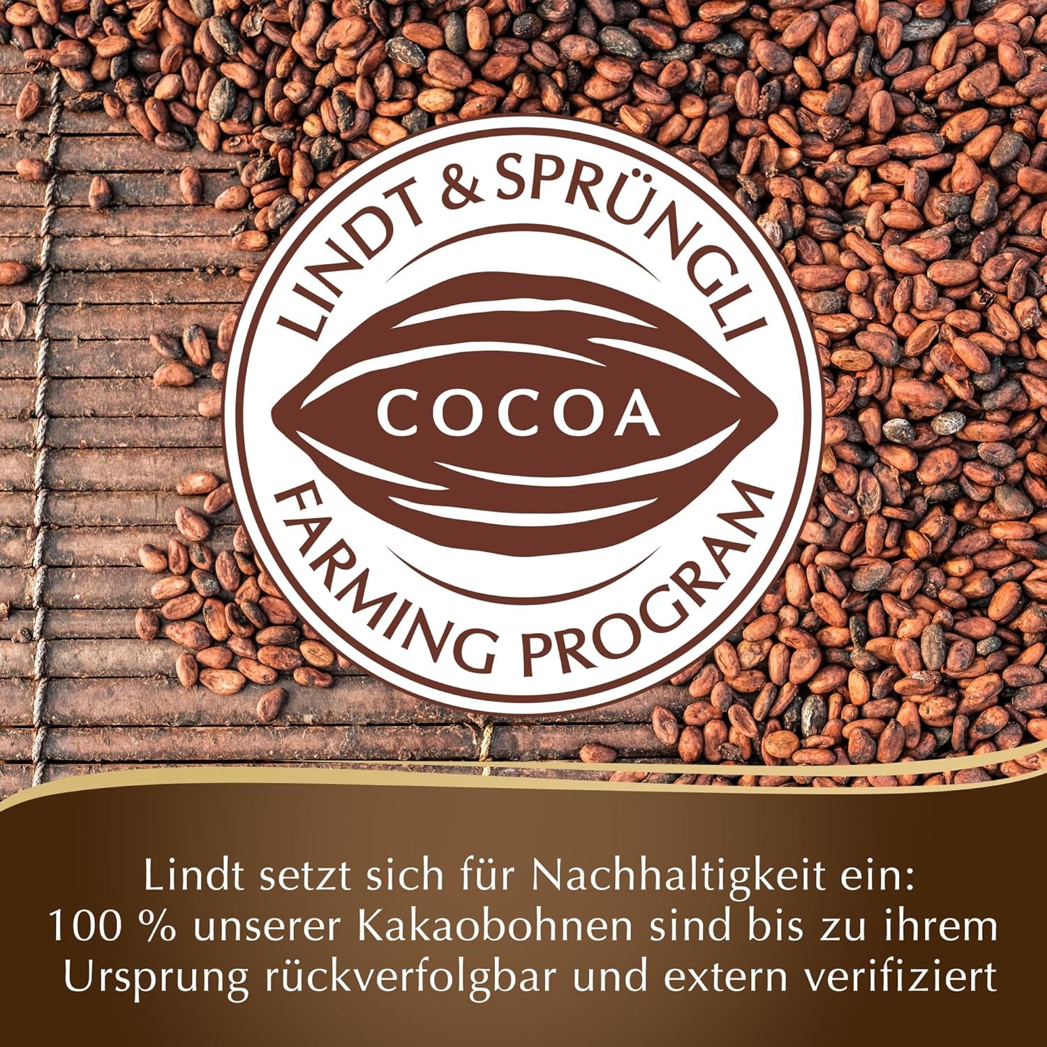 Chocolat Moka Lindt | Comprimé 100g | Chocolat au lait aux riches fèves de moka | Barre de chocolat | Cadeau chocolat, 100g (paquet de 6)