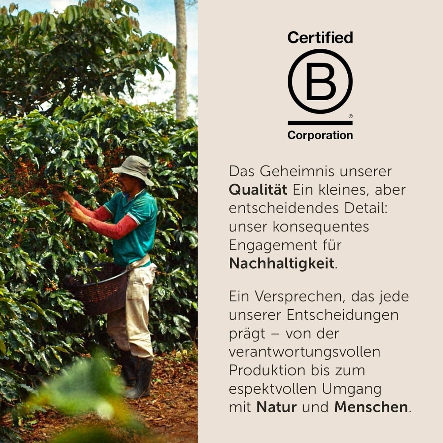 illy, Kaffeebohnen Arabica Selection Costa Rica, 100% Arabica avec caramel, notes de chocolat et vanille, sußer Gesmack, 1 dose avec 250g