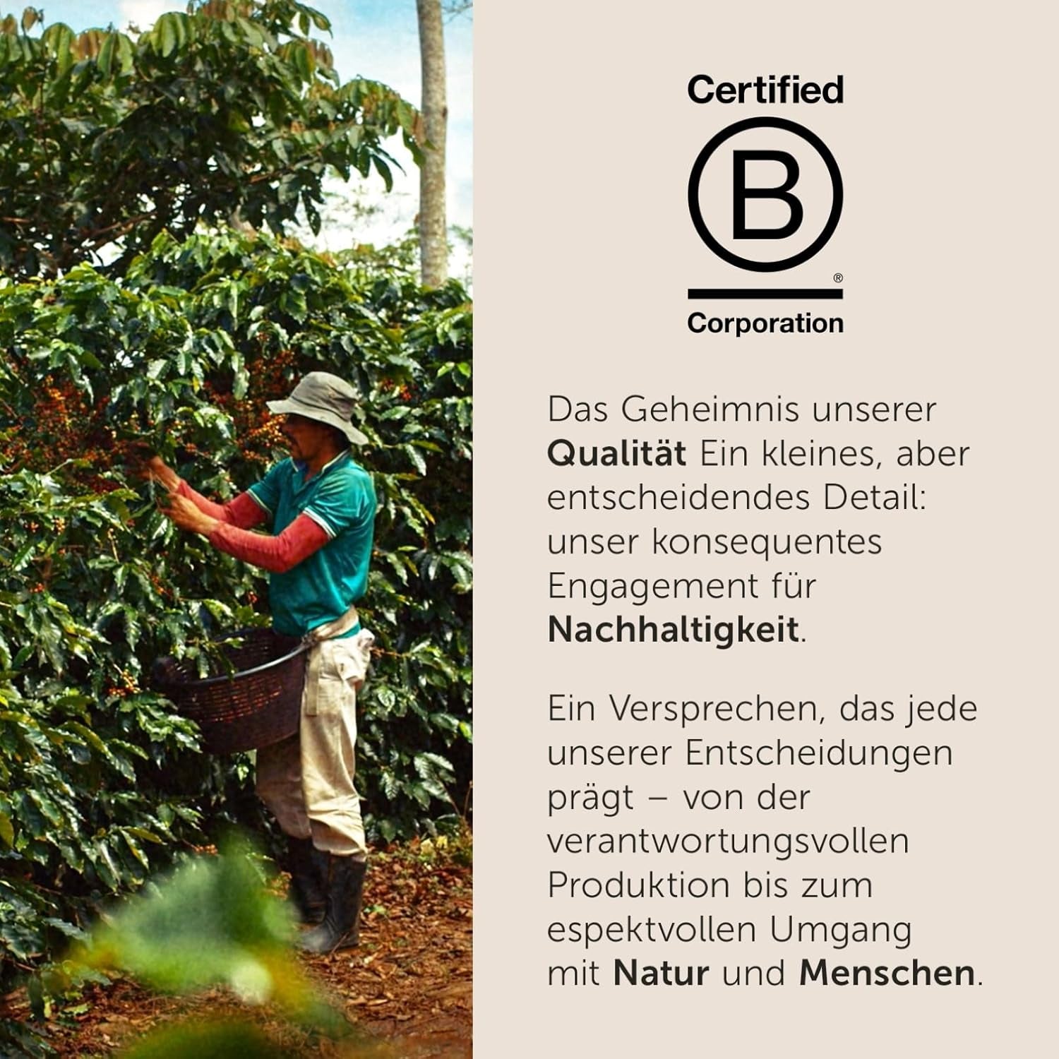 illy, Kaffeebohnen Arabica Selection Costa Rica, 100% Arabica avec caramel, notes de chocolat et vanille, sußer Gesmack, 1 dose avec 250g