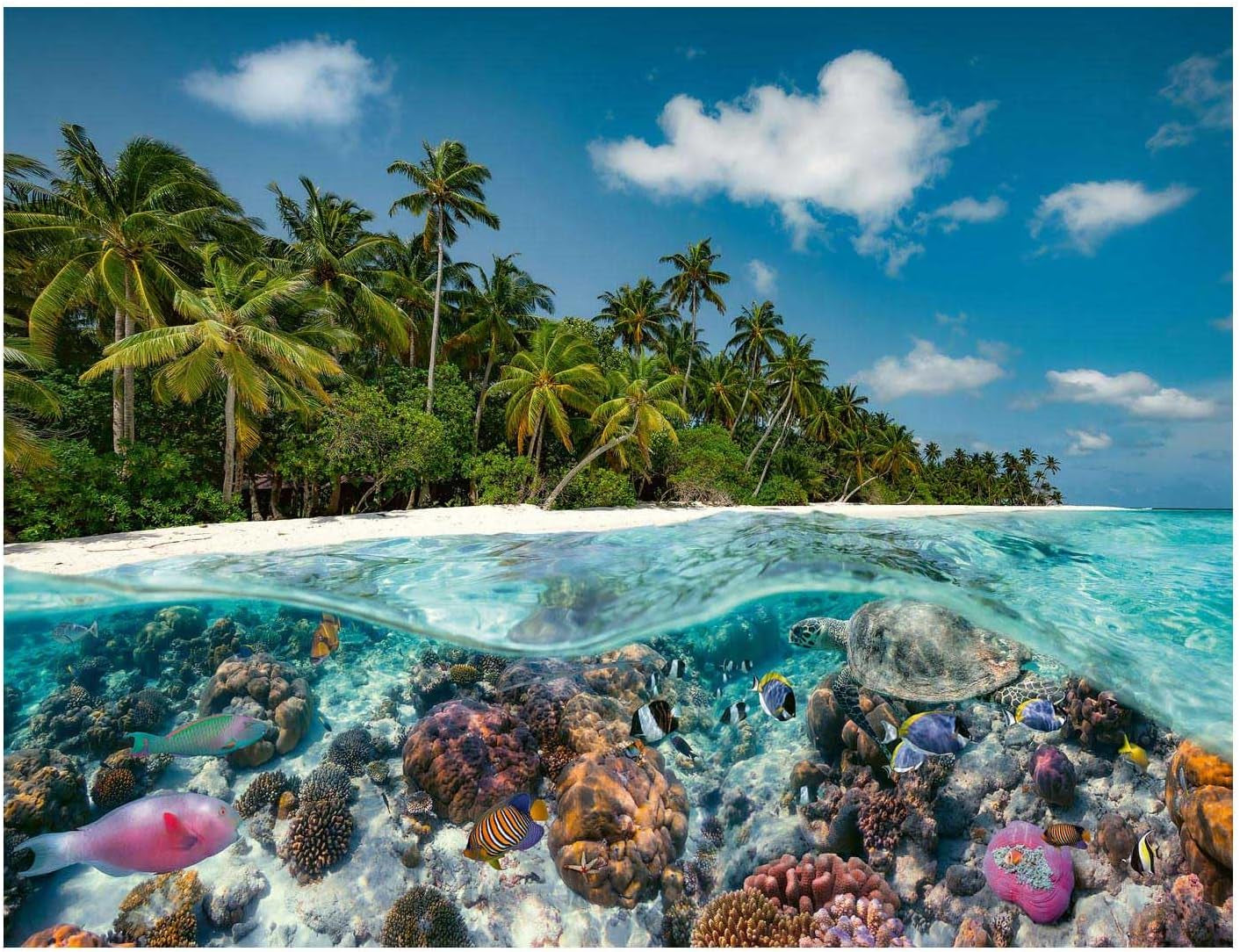 Ravensburger Puzzle 17441 Une plongée aux Maldives - Puzzle 2000 pièces pour adultes et enfants à partir de 14 ans Puzzle Naty Shop