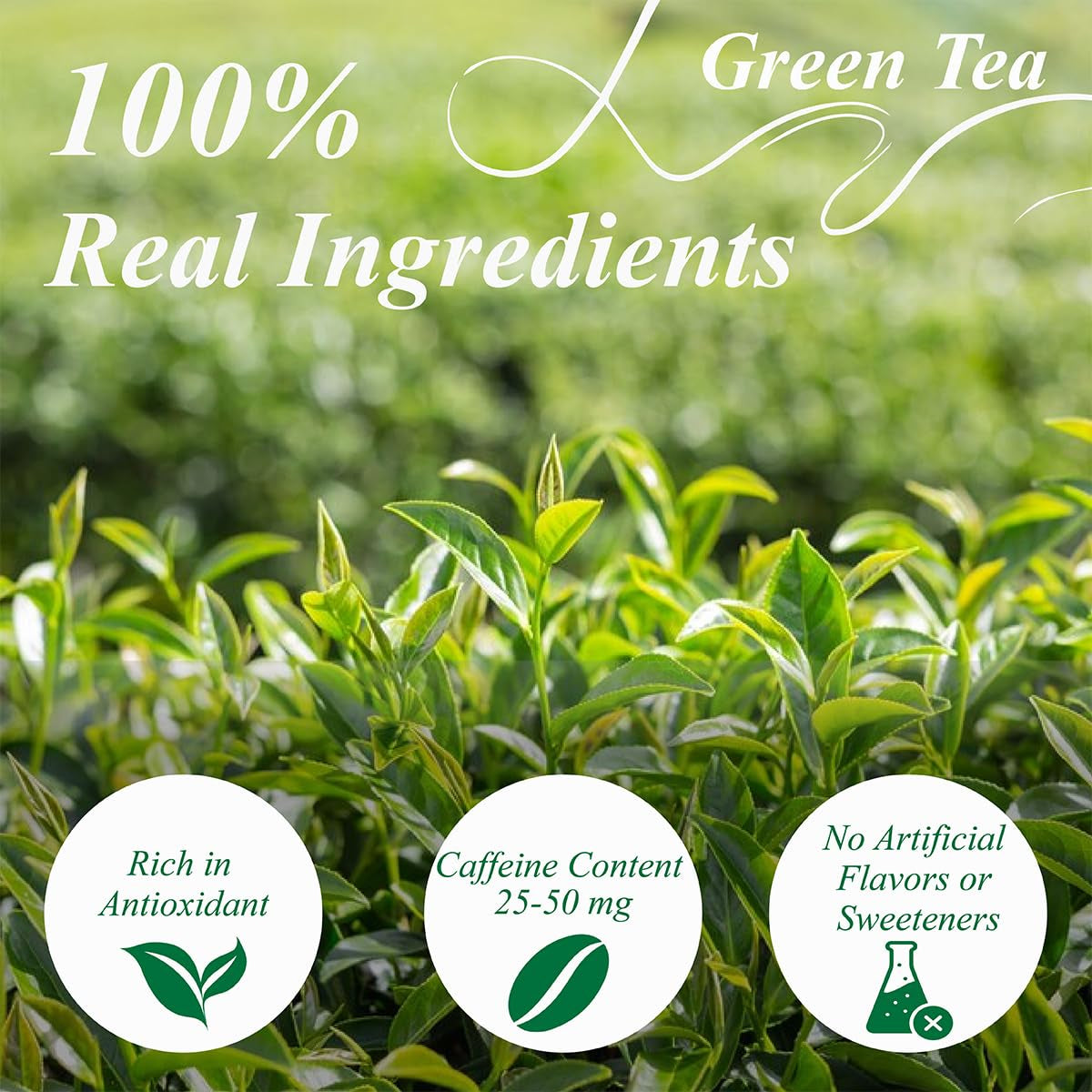 WEETEE Sachets de thé vert, 100 sachets de thé vert, thé vert pur, super antioxydant | Sachets refermables | Préparation chaude ou froide