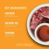 Lily's Kitchen Nourriture naturelle humide pour chat adulte, plateaux, recettes sans céréales, assortiment (32 plateaux x 85 g)