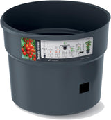 Pots de semis de tomates Prosperplast avec treillis – Jardinière en plastique robuste | anthracite | Résistant aux intempéries et aux UV | 29,5 x 115,2 cm | Idéal pour le jardin et la terrasse