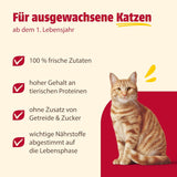 Animonda Carny nourriture humide pour chat dinde + poulet + crevettes (6 x 800g), nourriture humide sans céréales et sans sucre avec des ingrédients de viande fraîche