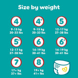 Couches Pampers Baby-Dry, taille 8, 22 unités, 19 kg+