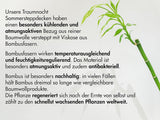 Oreiller Traumnacht en bambou avec fibres de bambou, hypoallergénique, antibactérien Ensemble d'oreillers avec fermeture éclair, composé de 2 oreillers 40X80Cm, certifié Oeko-Tex, développé en Allemagne Oreillers standards Naty Shop