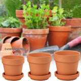 Hollyone Lot de 8 petites jardinières en terre cuite, pots ronds en argile de 8 x 8 cm avec plaque et trou de drainage, petites jardinières avec plateau, pots succulents en terre cuite pour plantes d'intérieur, jardinières en céramique