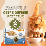 IAMS Delights Sea Collection Nourriture humide pour chats sans céréales - Multipack avec une variété de poissons en sauce, nourriture humide sans céréales pour chats à partir de 1 an, 12 x 85 g