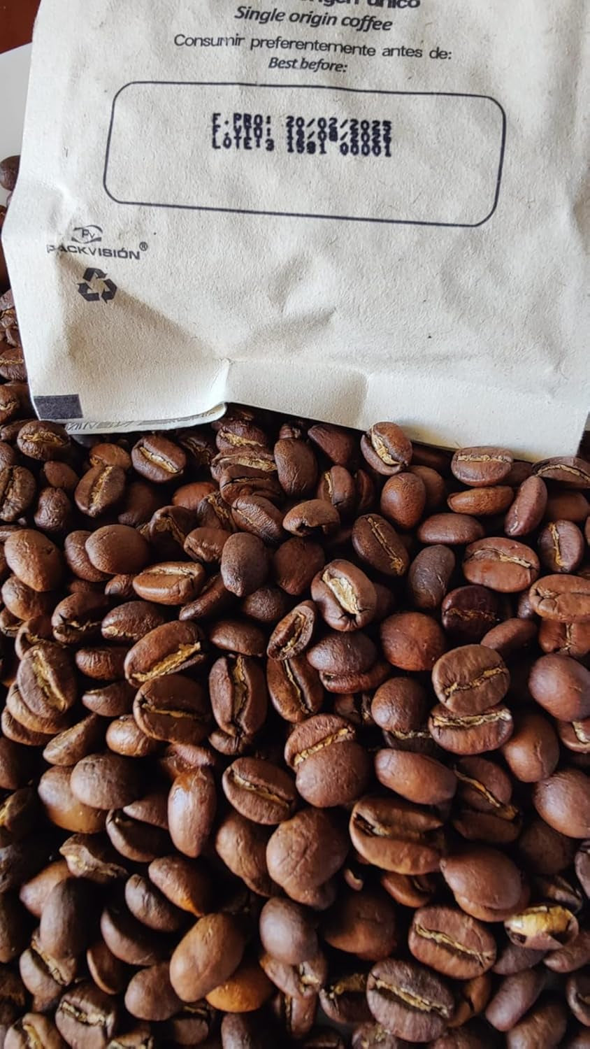 Café spécial Bohnen 100 % Arabica naturel Mittlere Röstung Gewaschener Prozess Zitrus Schokolade Karamell Schattenanbau Sierra Nevada (250 g, Castillo)