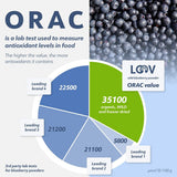 LOOV Poudre de myrtille sauvage biologique - Approvisionnement de 29 jours 171 g Idéal pour les smoothies et le petit-déjeuner Lyophilisé Europe du Nord Sans sucre ajouté Naty Shop Produits déshydratés