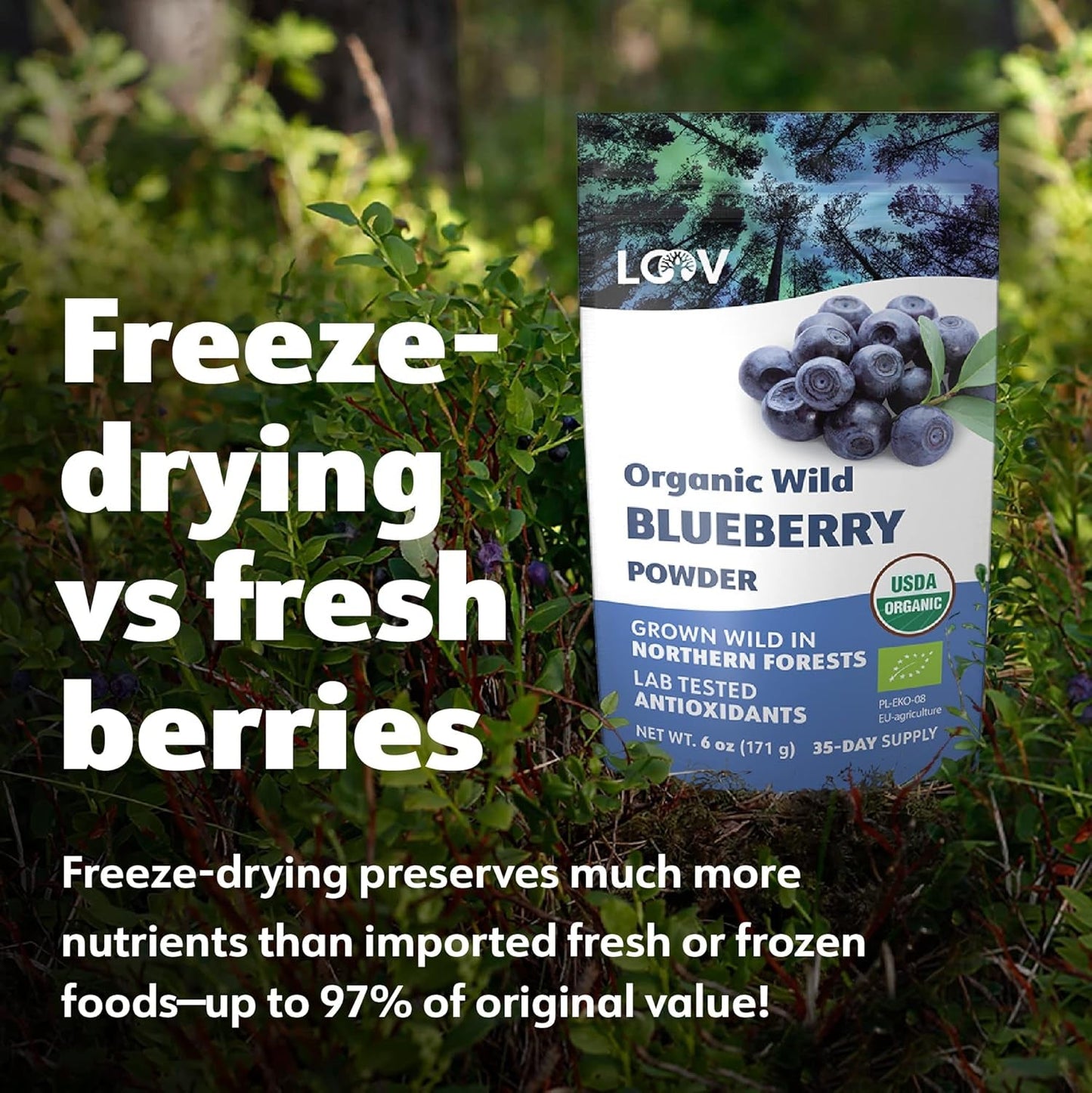 LOOV Poudre de myrtille sauvage biologique - Approvisionnement de 29 jours 171 g Idéal pour les smoothies et le petit-déjeuner Lyophilisé Europe du Nord Sans sucre ajouté Naty Shop Produits déshydratés
