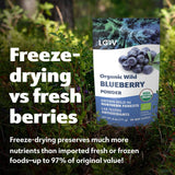 LOOV Poudre de myrtille sauvage biologique - Approvisionnement de 29 jours 171 g Idéal pour les smoothies et le petit-déjeuner Lyophilisé Europe du Nord Sans sucre ajouté Naty Shop Produits déshydratés