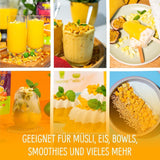 Mangue lyophilisée : 100g de fruits lyophilisés à partir de morceaux tendres de mangue sans sucre ajouté - mangue séchée - mangue séchée - fruits secs - fruits secs de NutriPur Produits déshydratés Naty Shop