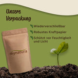 Cerises sucrées, séchées et sans pépins Mynatura I Non sucrées I Fruits secs I Sans additifs I Pâtisserie I Cerises I Snack I Muesli I Vegan I Sachet (1x 1000g) Produits déshydratés Naty Shop