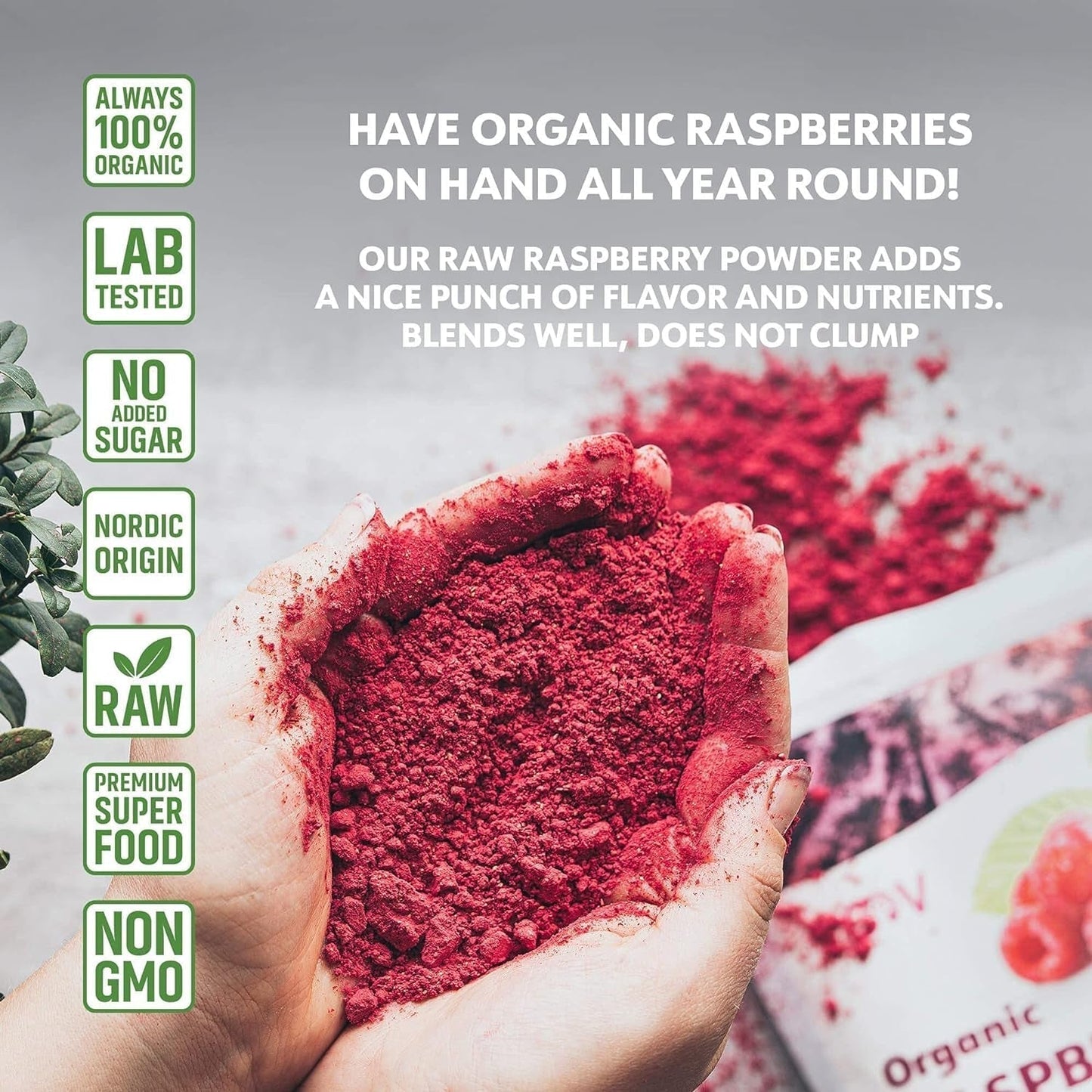 Poudre de framboise biologique 100 % framboises entières Poudre de framboise lyophilisée 171 g d'Europe Approvisionnement 24 jours sans sucre ajouté Naty Shop Produits déshydratés